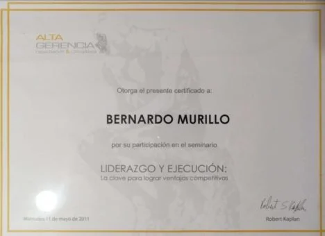 Liderazgo y Ejecución