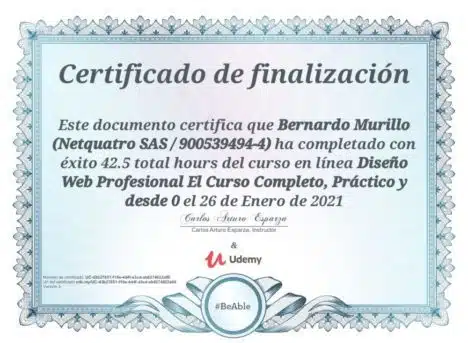 Diseño Web Profesional