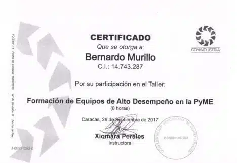 Formación de Equipos de Alto Desempeño en la PyME