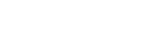 Net4SEO Logo