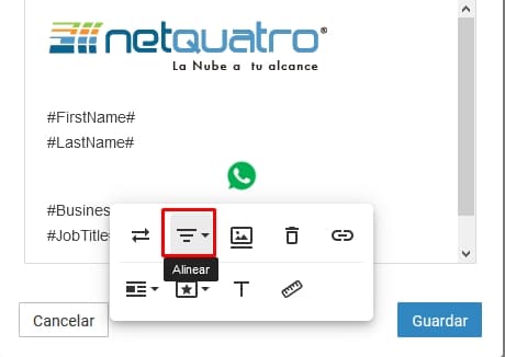 firma_global_net4email_ajustes_de_dominio_19