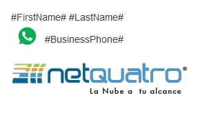 firma_global_net4email_ajustes_de_dominio_21