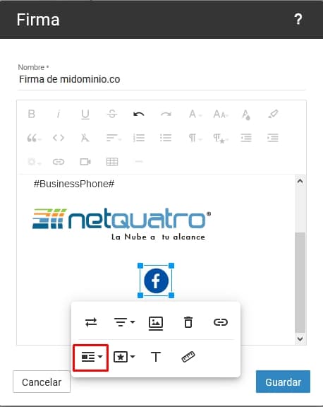 firma_global_net4email_ajustes_de_dominio_23