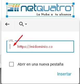 firma_global_net4email_ajustes_de_dominio_28