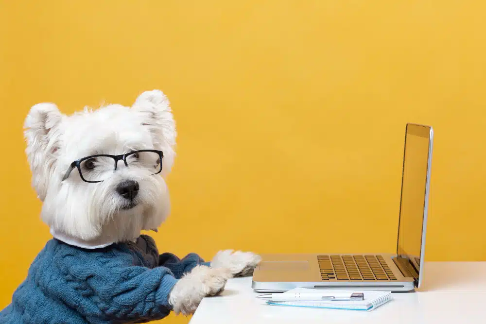 Cómo-atraer-a-clientes-y-mantenerse-competitivos-en-el-mercado-de-mascotas