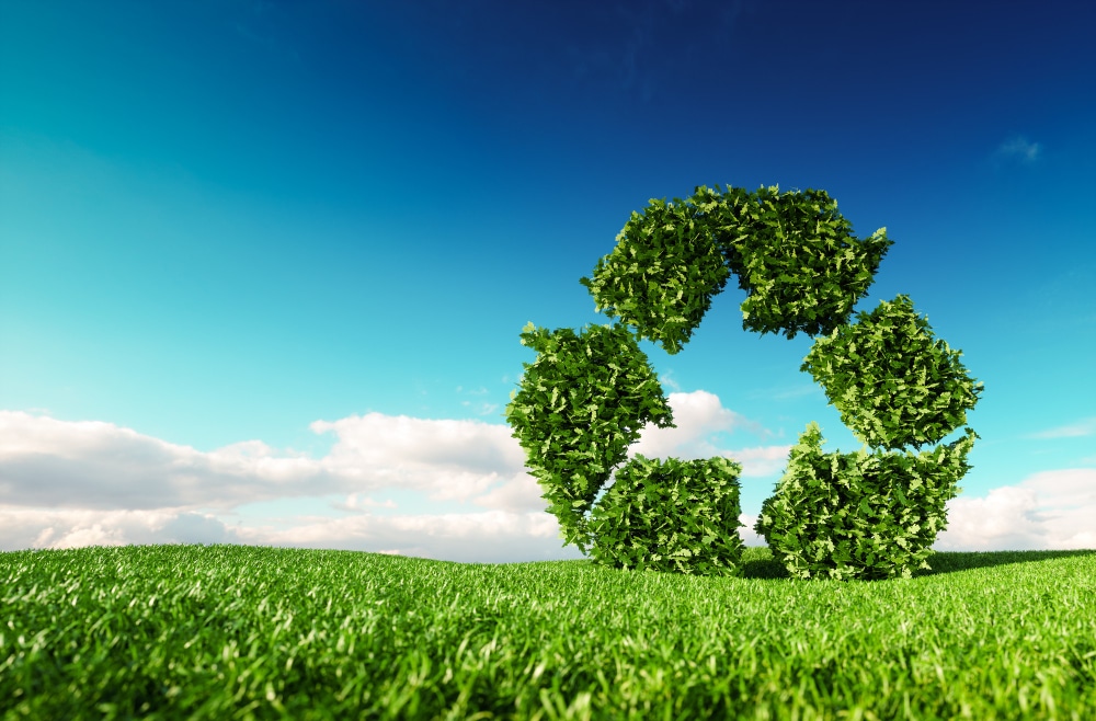 Eco-Web-Tu-Marca-Verde-el-Pilar-Digital-de-la-Sustentabilidad-Corporativa