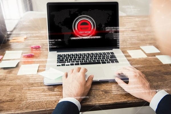 malware-net4shield-empresas